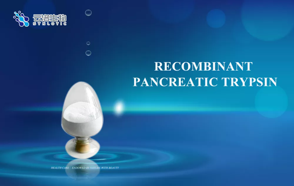 Rekombinant pankreatik tripsin nedir ve işlevi nedir?