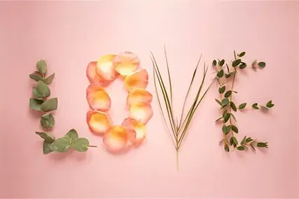 520 itiraf sezonu丨İtiraf etmeye hazır mısın?