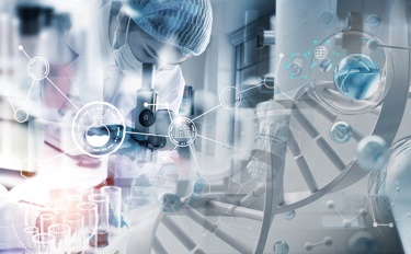 Güzelliğin Ardındaki Seçim: Kozmetik ile Sürdürülebilir Yaşam Arasındaki Derin Bağlantı