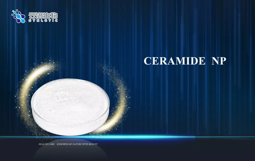 Ceramide NP Modern Kozmetiklerde Cilt Bariyeri Bakımını Nasıl Destekler?