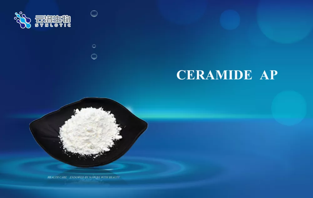 Seramid AP