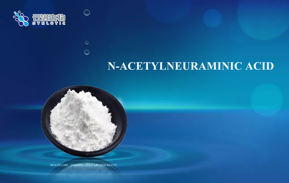 N-asetilneüraminik asit
